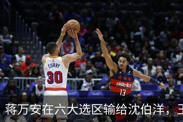 蒋万安在六大选区输给沈伯洋，王世坚表示在情理之中